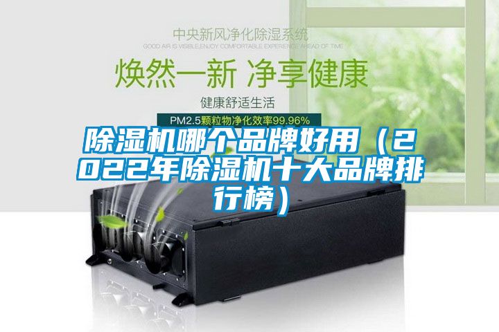 除濕機(jī)哪個(gè)品牌好用（2022年除濕機(jī)十大品牌排行榜）