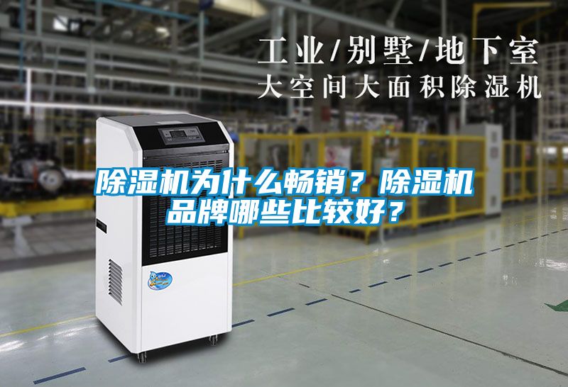 除濕機為什么暢銷？除濕機品牌哪些比較好？