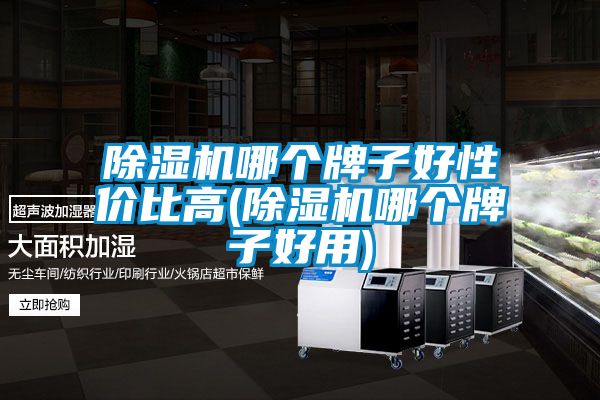 除濕機(jī)哪個牌子好性價比高(除濕機(jī)哪個牌子好用)