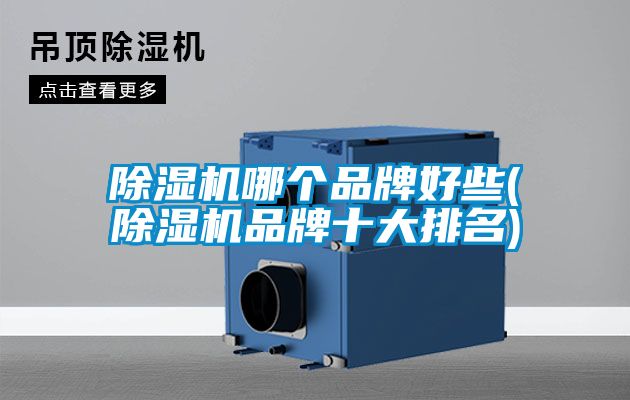 除濕機(jī)哪個(gè)品牌好些(除濕機(jī)品牌十大排名)