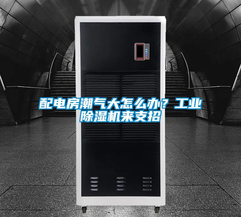 配電房潮氣大怎么辦？工業(yè)除濕機來支招