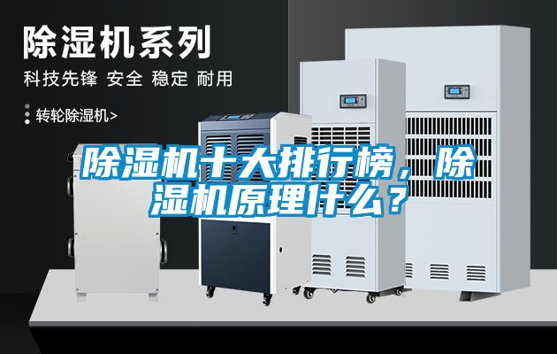除濕機十大排行榜，除濕機原理什么？