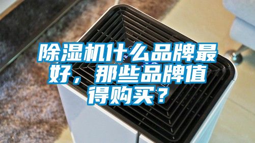 除濕機什么品牌最好，那些品牌值得購買？