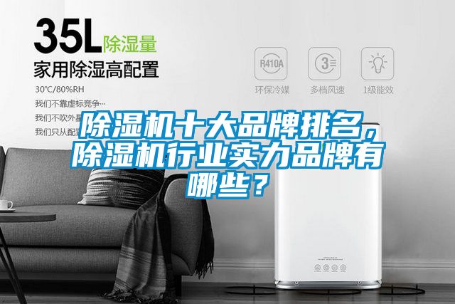 除濕機(jī)十大品牌排名，除濕機(jī)行業(yè)實(shí)力品牌有哪些？