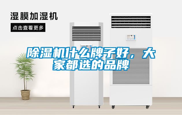 除濕機什么牌子好，大家都選的品牌