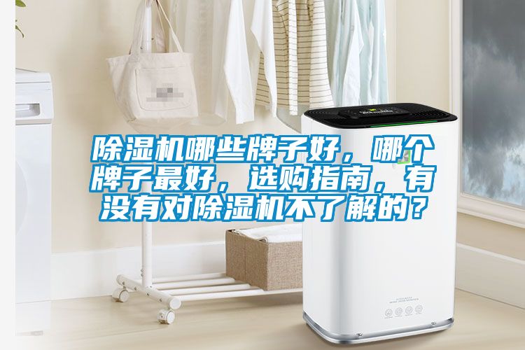 除濕機(jī)哪些牌子好，哪個牌子最好，選購指南，有沒有對除濕機(jī)不了解的？