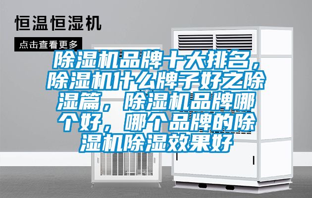 除濕機(jī)品牌十大排名，除濕機(jī)什么牌子好之除濕篇，除濕機(jī)品牌哪個(gè)好，哪個(gè)品牌的除濕機(jī)除濕效果好