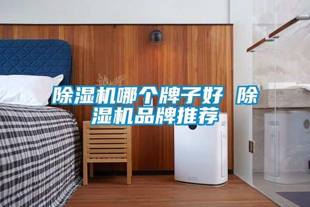 除濕機(jī)哪個(gè)牌子好 除濕機(jī)品牌推薦