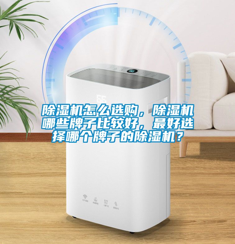 除濕機怎么選購，除濕機哪些牌子比較好，最好選擇哪個牌子的除濕機？