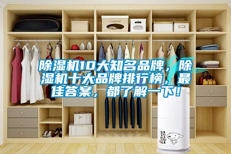 除濕機10大知名品牌，除濕機十大品牌排行榜，最佳答案，都了解一下！