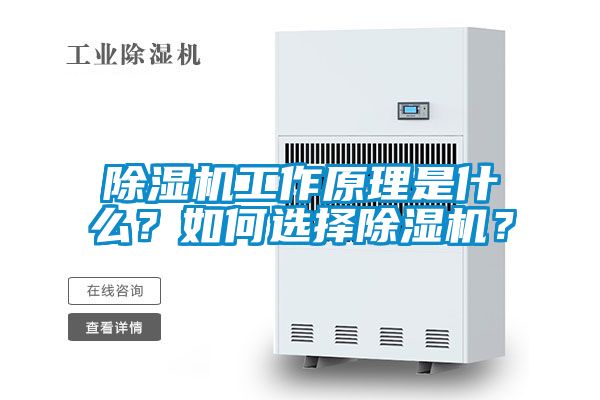 除濕機(jī)工作原理是什么？如何選擇除濕機(jī)？