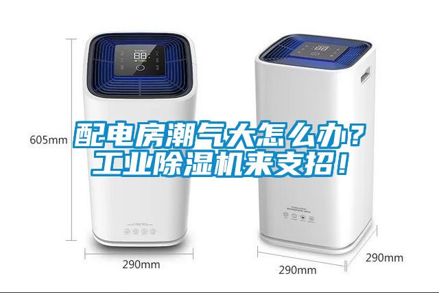 配電房潮氣大怎么辦？工業(yè)除濕機來支招！
