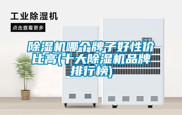 除濕機(jī)哪個(gè)牌子好性價(jià)比高(十大除濕機(jī)品牌排行榜)