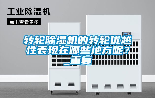 轉(zhuǎn)輪除濕機的轉(zhuǎn)輪優(yōu)越性表現(xiàn)在哪些地方呢？_重復(fù)