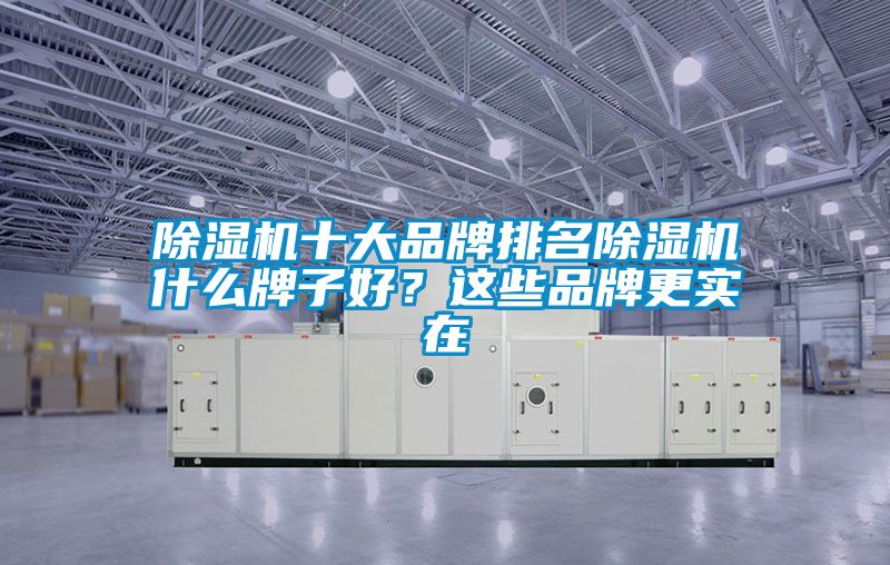 除濕機(jī)十大品牌排名除濕機(jī)什么牌子好？這些品牌更實(shí)在