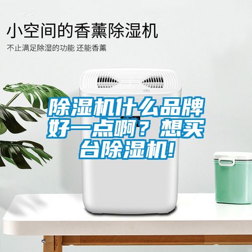 除濕機什么品牌好一點??？想買臺除濕機!