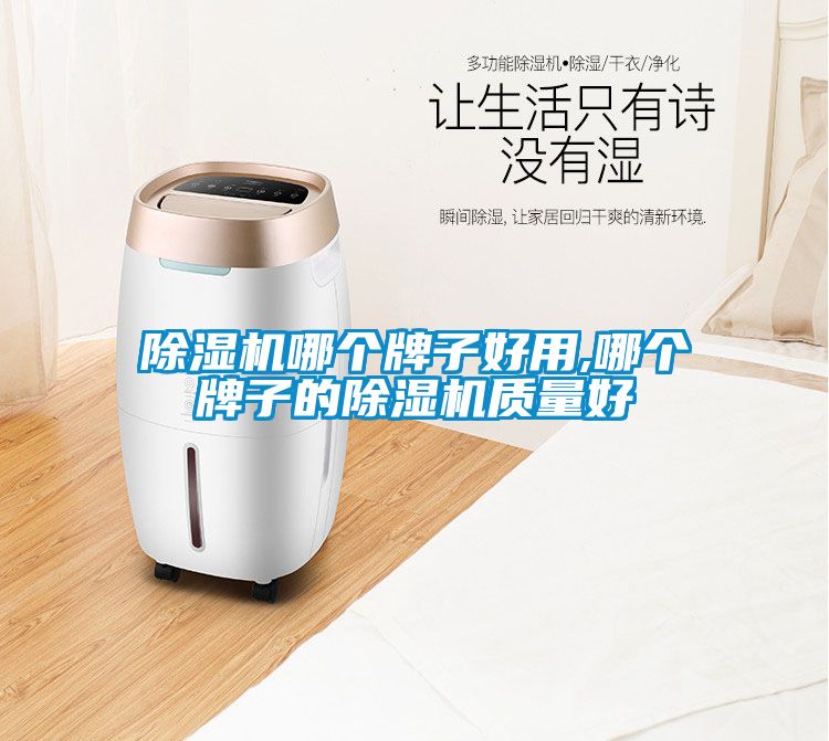 除濕機(jī)哪個牌子好用,哪個牌子的除濕機(jī)質(zhì)量好