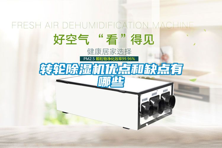 轉(zhuǎn)輪除濕機優(yōu)點和缺點有哪些