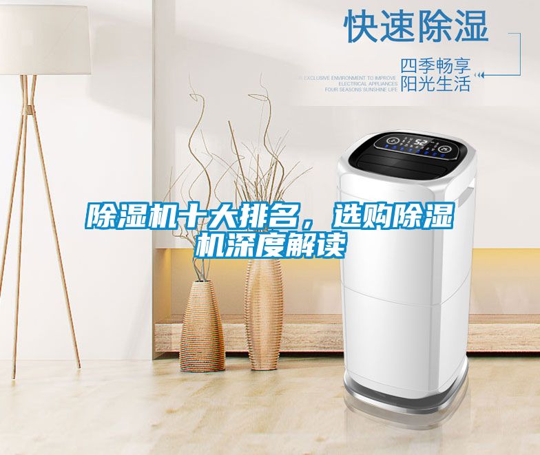 除濕機十大排名，選購除濕機深度解讀