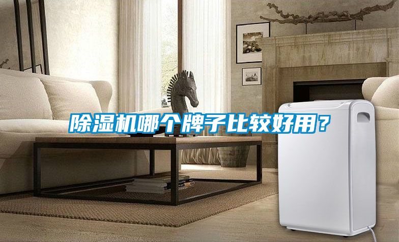 除濕機(jī)哪個牌子比較好用？