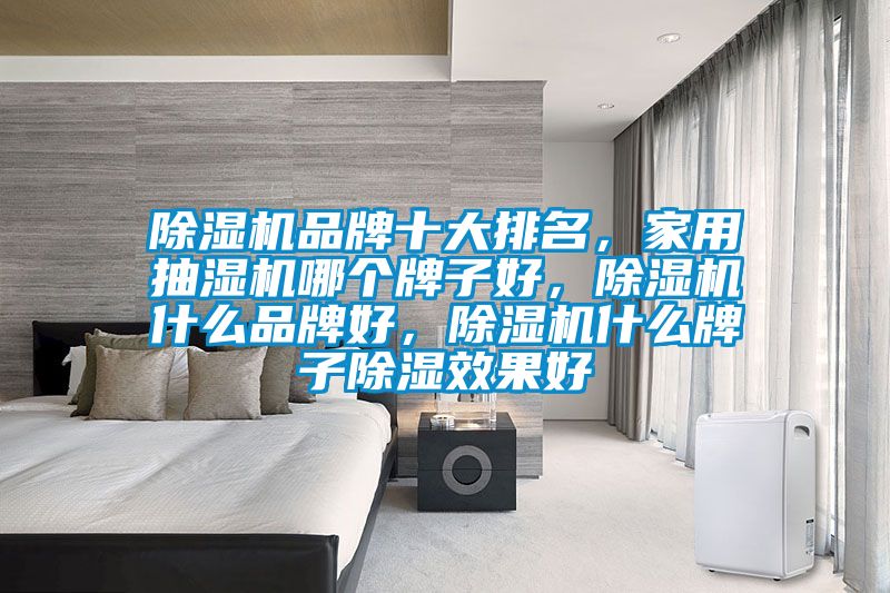 除濕機(jī)品牌十大排名，家用抽濕機(jī)哪個(gè)牌子好，除濕機(jī)什么品牌好，除濕機(jī)什么牌子除濕效果好