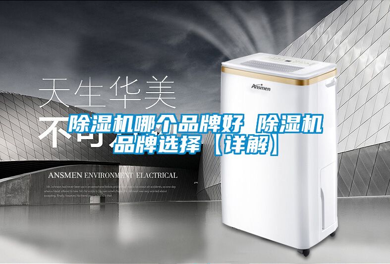 除濕機(jī)哪個(gè)品牌好 除濕機(jī)品牌選擇【詳解】