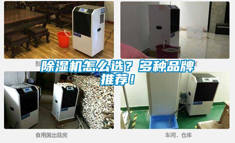 除濕機(jī)怎么選？多種品牌推薦！