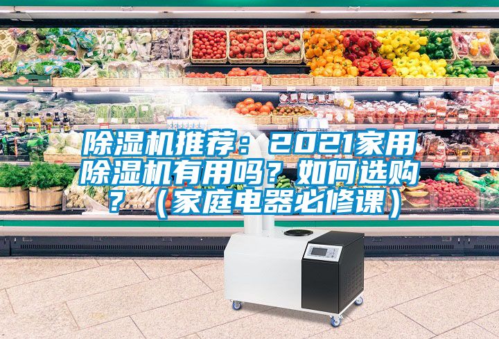 除濕機(jī)推薦：2021家用除濕機(jī)有用嗎？如何選購？（家庭電器必修課）