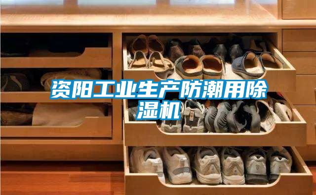 資陽工業(yè)生產防潮用除濕機
