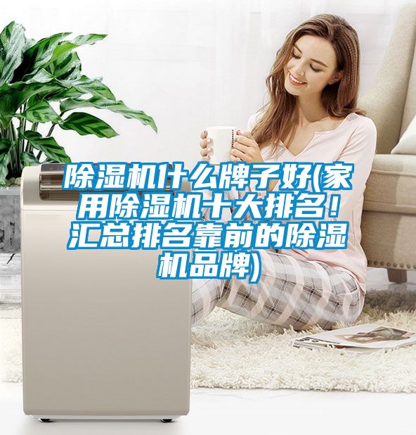 除濕機什么牌子好(家用除濕機十大排名！匯總排名靠前的除濕機品牌)