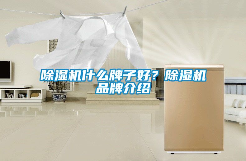 除濕機什么牌子好？除濕機品牌介紹