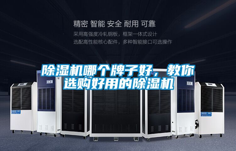 除濕機(jī)哪個(gè)牌子好，教你選購好用的除濕機(jī)