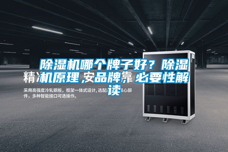 除濕機(jī)哪個(gè)牌子好？除濕機(jī)原理，品牌，必要性解讀