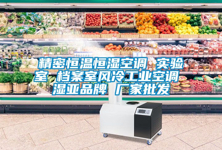 精密恒溫恒濕空調(diào) 實驗室 檔案室風(fēng)冷工業(yè)空調(diào) 濕亞品牌 廠家批發(fā)