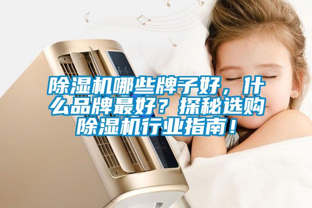 除濕機(jī)哪些牌子好，什么品牌最好？探秘選購(gòu)除濕機(jī)行業(yè)指南！