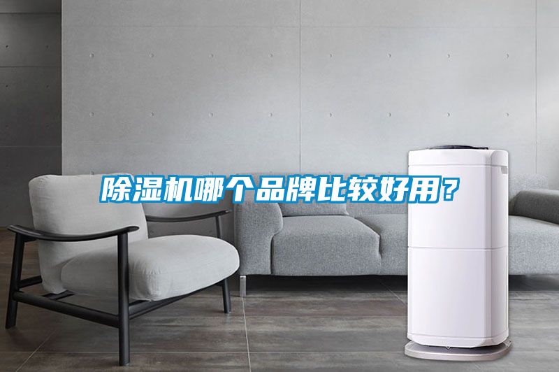 除濕機哪個品牌比較好用？