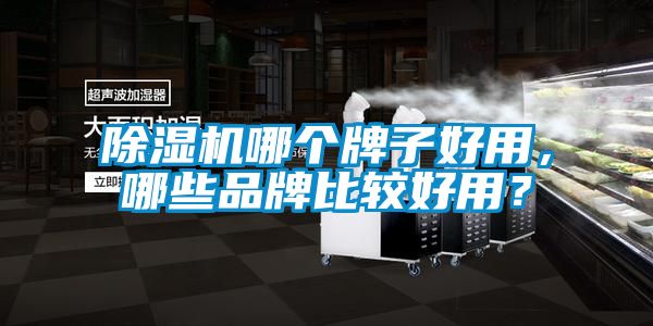 除濕機(jī)哪個(gè)牌子好用，哪些品牌比較好用？