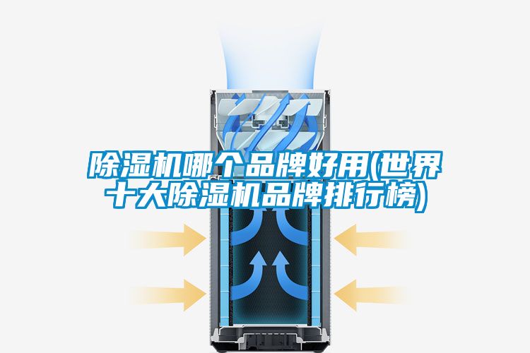 除濕機(jī)哪個(gè)品牌好用(世界十大除濕機(jī)品牌排行榜)
