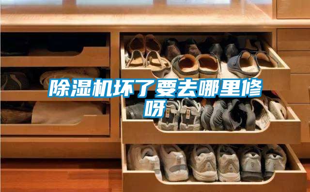 除濕機(jī)壞了要去哪里修呀