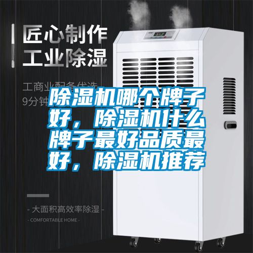 除濕機(jī)哪個(gè)牌子好，除濕機(jī)什么牌子最好品質(zhì)最好，除濕機(jī)推薦