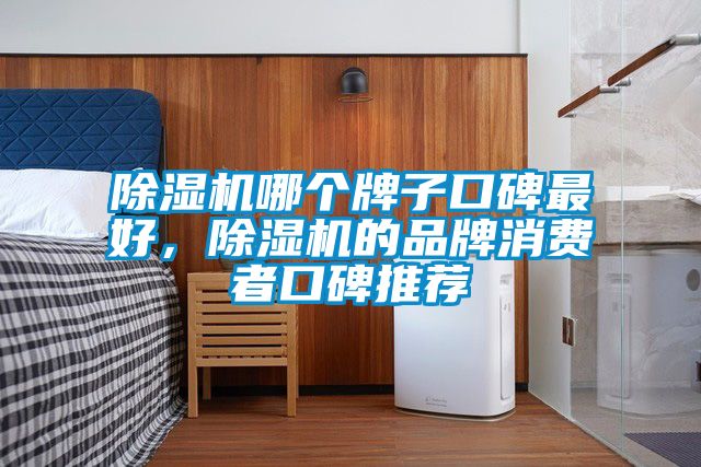 除濕機哪個牌子口碑最好，除濕機的品牌消費者口碑推薦