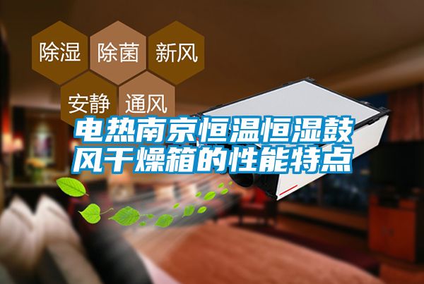 電熱南京恒溫恒濕鼓風(fēng)干燥箱的性能特點