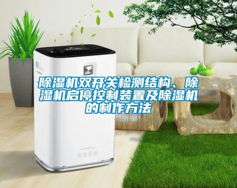 除濕機(jī)雙開關(guān)檢測(cè)結(jié)構(gòu)、除濕機(jī)啟?？刂蒲b置及除濕機(jī)的制作方法