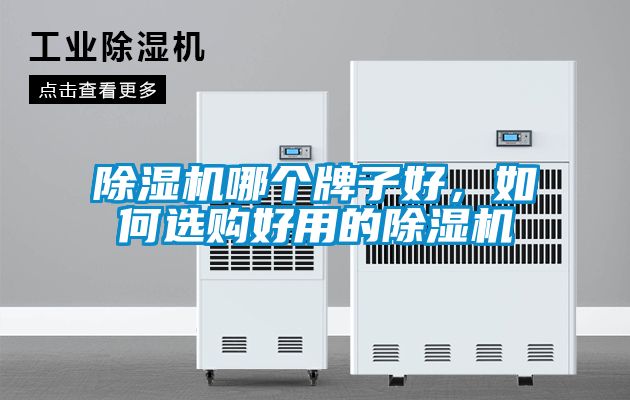除濕機(jī)哪個(gè)牌子好，如何選購好用的除濕機(jī)