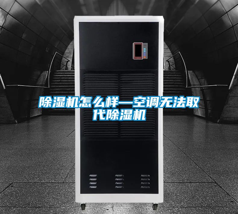 除濕機怎么樣—空調(diào)無法取代除濕機