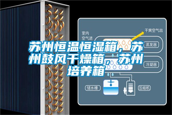 蘇州恒溫恒濕箱，蘇州鼓風(fēng)干燥箱，蘇州培養(yǎng)箱