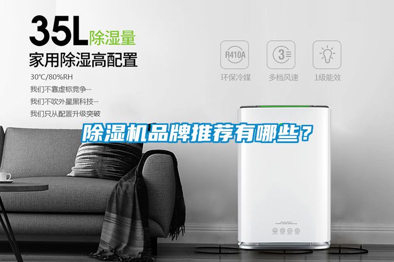 除濕機(jī)品牌推薦有哪些？