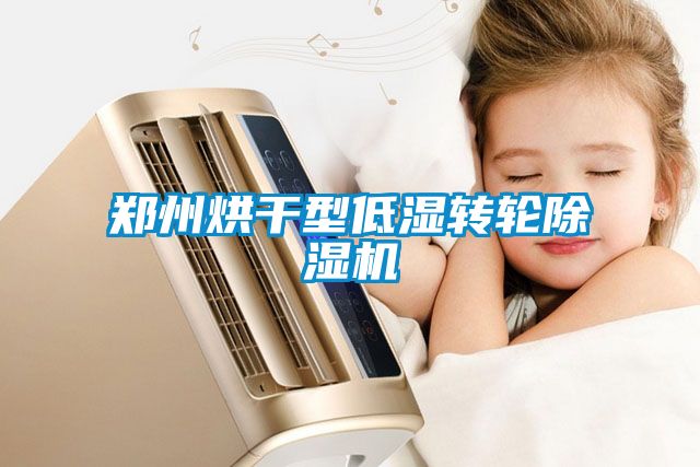 鄭州烘干型低濕轉(zhuǎn)輪除濕機