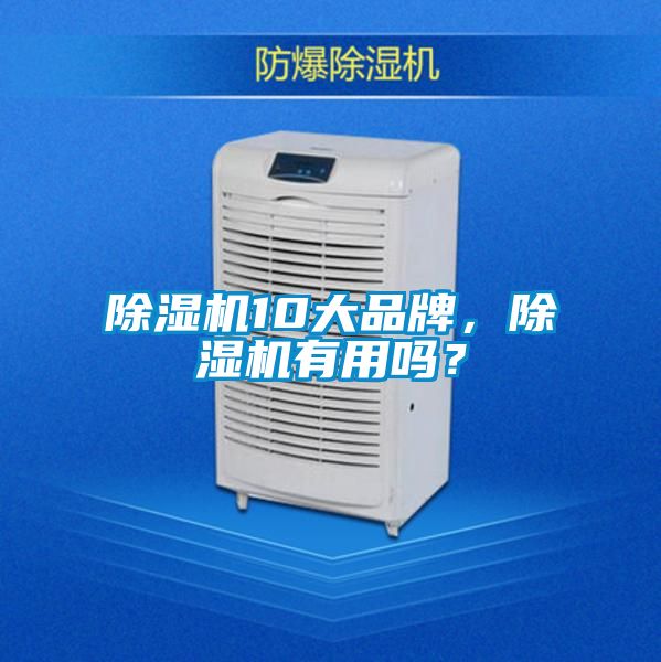 除濕機10大品牌，除濕機有用嗎？