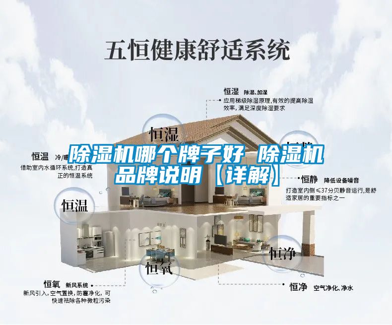 除濕機(jī)哪個(gè)牌子好 除濕機(jī)品牌說(shuō)明【詳解】